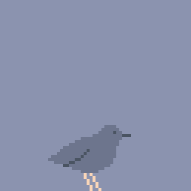 American dipper (2-bit)